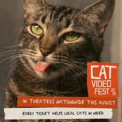CATVIDEOFEST2026